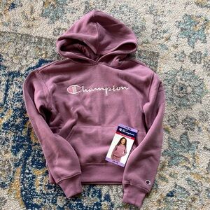Champion Hoodie in Purple